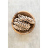 Kalalou NTRP1006 Bag of Six Strobus Pine Cones - Frosted White