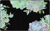Flagship Carpets CA2002 Simply Stylish Succulents Rectangular Carpet