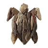 Sagebrook Home 18036-02 Driftwood, 12" Turtle Deco, Natural