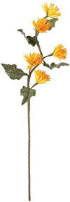 Kalalou CLX3192 Botanica #3192