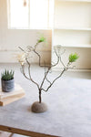 Kalalou H3850 Wire Tree Air Plant Holder on A River Rock Base