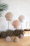 Kalalou H3918 Set of Three Clay Sea Shells on Wooden Bases