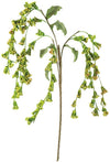 Kalalou CLX3195 Botanica #3195