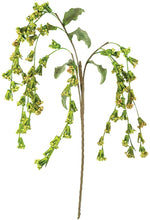 Kalalou CLX3195 Botanica #3195