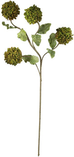 Kalalou CLX3225 Botanica #3225