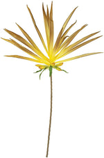 Kalalou CLX3189 Botanica #3189