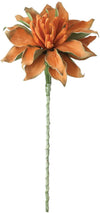 Kalalou CLX2206 Botanica #430