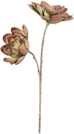 Kalalou CLX2944 Botanica #1144