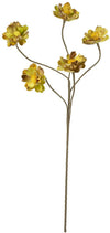 Kalalou CSL2434 Botanica #2434