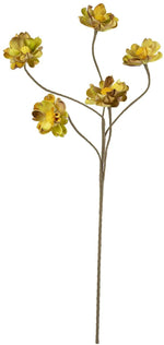 Kalalou CSL2434 Botanica #2434