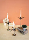 Kalalou CBB1130 Antique Brass Palm Tree Candle Holders