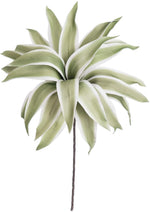 Kalalou CLX2586 Botanica # 786