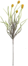 Kalalou CSL1266 Botanica #2266