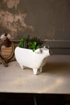 Kalalou CMN1361 White Enamelware Pig Planter