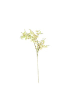 Kalalou CLX2970 Botanica #970