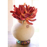 Kalalou NMCC1078X Clay Water Pot with with Recycled Kantha Base