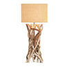 IMAX Worldwide Home Explorer Driftwood Table Lamp