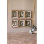 Kalalou CHH1262 Fern Prints Under Glass Framed Art Set of 6