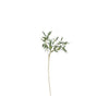 Kalalou CLX2963 Botanica #963