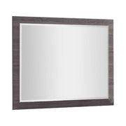 Benzara Transitional Style Rectangular Wooden Frame Mirror, Distressed Gray