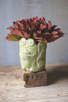 Kalalou H3233 Green Clay Frog Planter