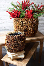 Kalalou CMH1010 Set Of Two Tall Oval Pinecone Planters