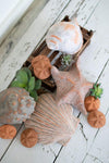 Kalalou H3998 Set of Ten Clay Shells and Sand Dollars