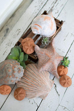 Kalalou H3998 Set of Ten Clay Shells and Sand Dollars
