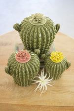 Kalalou CHG2227 Set of Three Cactus Canisters with Flower Tops