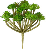 Kalalou CYF1012 Artificial Sedum Succulent