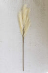 White Pampas Stem – 40"H Artificial Botanical Accent