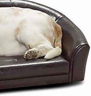 Benzara Cushioned Leatherette Dog Sofa Bed with Curved Backrest, Brown