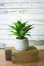 Kalalou CNL1220 Artificial Aloe In A Concrete Pot #1