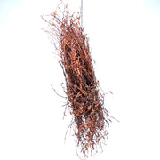 Benzara Wooden Rustic Accent Decor with grapevine Tree Design, Natural Brown