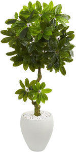 Nearly Natural 5747 5.5' Artificial Green Schefflera Tree in White Planter, UV Resistant (Indoor/Outdoor)