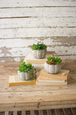 Kalalou CNL1223 Set Of Three Artificial Succulents In Concrete Planters