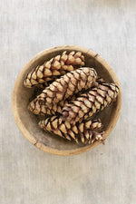 Kalalou NTRP1005 Bag of Six Pine Cones - Natural
