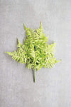 Kalalou CNL1239 Fern Bundle