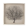 IMAX Worldwide Home Bodaway Coral in Shadowbox with Frame