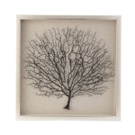 IMAX Worldwide Home Bodaway Coral in Shadowbox with Frame