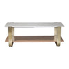 Sagebrook Home 18361-04 17" Marble Top Rectangle Coffee, Gold Kd