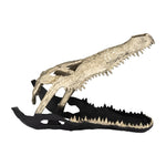 Sagebrook Home 17483-02 Metal, 16", Alligator Skull, Gold/Black