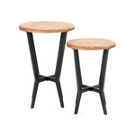 IMAX Worldwide Home Lorance Accent Tables - Set of 2
