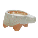 Sagebrook Home 80026 8" Turtle Potted Candle By Liv & Skye, Sea Salt