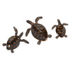 Imax Worldwide Home Swanson Sea Turtle Wall Decor - Set of 3