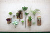 Kalalou CYF1005 Artificial Wispy Aloe Plant