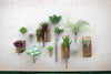 Kalalou CYF1010 Artificial Panda Succulent