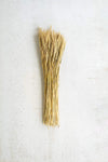 Kalalou NTRP 7 OZ Bundle of Natural Wheat Stems