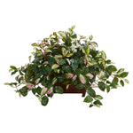 Nearly Natural 8203 16" Artificial Green Hoya Plant in Decorative Planter