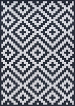 Couristan Afuera Diatomic 2'2" X 7'10" Runner  Indoor/Outdoor  Transitional Rug
